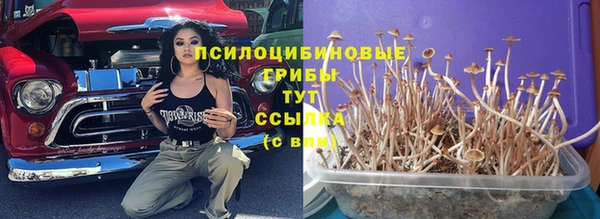 mdpv Абдулино