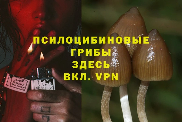 mdpv Абдулино