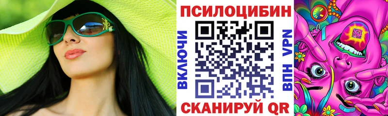 купить   Собинка  Галлюциногенные грибы Psilocybine cubensis 